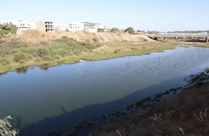 كارثة بيئية بالمحمدية