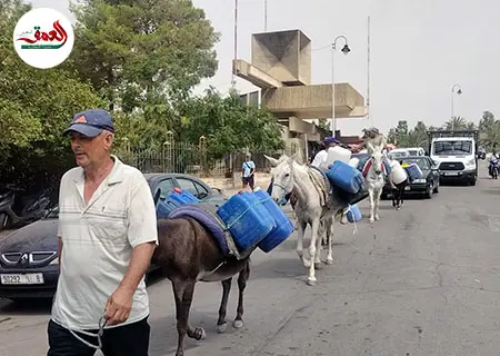 مسيرة احتجاجية على الحمير بسيدي حرازم
