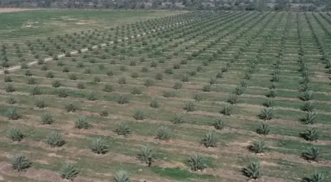 باحثون يكشفون مناطق شحن المياه الجوفية في وادي درعة بفضل الذكاء الاصطناعي