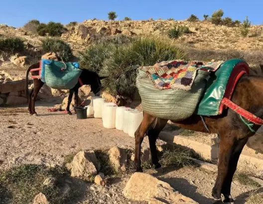 على وقع أزمة مياه خانقة.. “مسيرات العطش” تكسر صمت دواوير منسية بجهة بني ملال