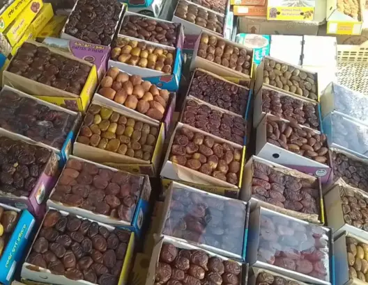 استقرار الأسعار ووفرة الإنتاج ينعشان سوق التمور بأكدز