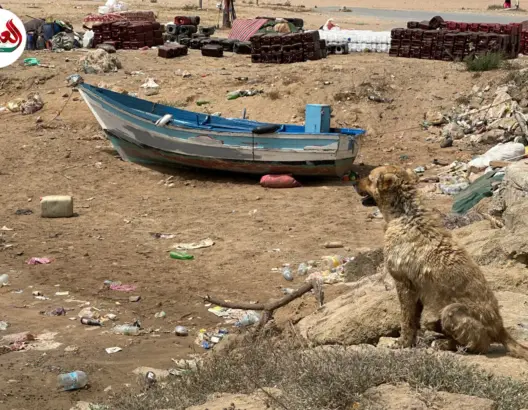 “فلايك” أبي رقراق تصارع البقاء وسط تهميش رسمي ومنافسة اليخوت الحديثة (فيديو)
