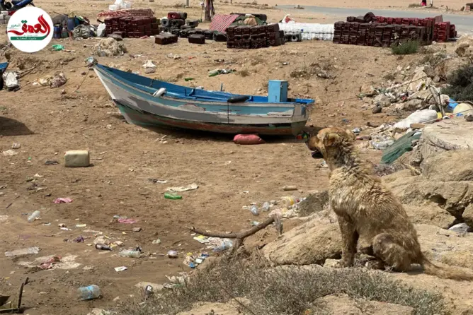 “فلايك” أبي رقراق تصارع البقاء وسط تهميش رسمي ومنافسة اليخوت الحديثة (فيديو)