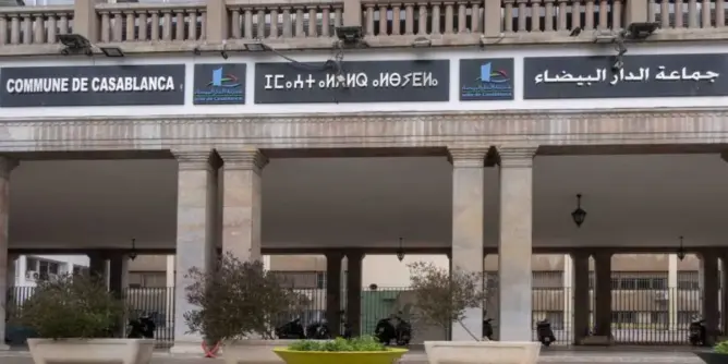 بهدف تحويل المحاجز إلى حدائق.. مزاد ضخم بالبيضاء لبيع قرابة 2000 مركبة