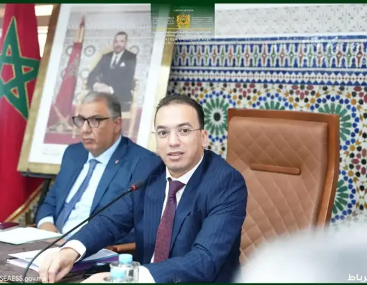 السعدي يعلن عن مشروع حكومي جديد لتنظيم غرف الصناعة التقيلدية