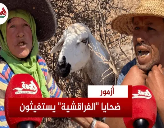 ضـ.ـحايا”الفراقشية” بأزمور يطلقون صرخة استغاثة