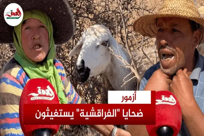 ضـ.ـحايا”الفراقشية” بأزمور يطلقون صرخة استغاثة