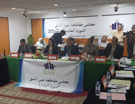 مجلس مقاطعة عين الشق يشكل لجنة لتدقيق الميزانية والقضايا العالقة