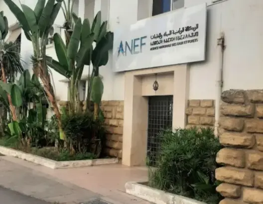 مهندسو الغابات يرفضون “الإدماج القسري” ويهددون بالتصعيد