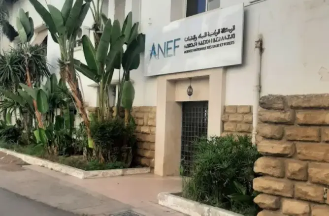 مهندسو الغابات يرفضون “الإدماج القسري” ويهددون بالتصعيد