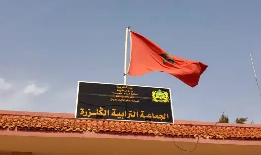 أنت بركم وأنا نفهم.. عن جماعة الكنزرة أحدثكم