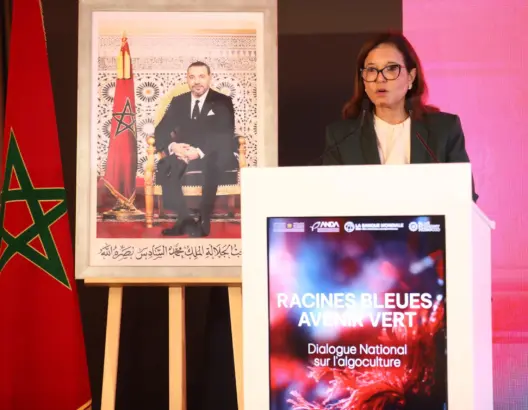الدريوش: المغرب أسكت كل المشككين وبات رائدا في زراعة وتنمية الطحالب البحرية
