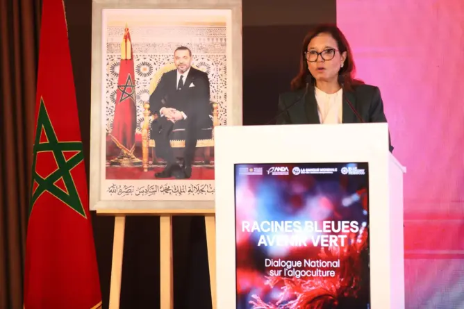الدريوش: المغرب أسكت كل المشككين وبات رائدا في زراعة وتنمية الطحالب البحرية