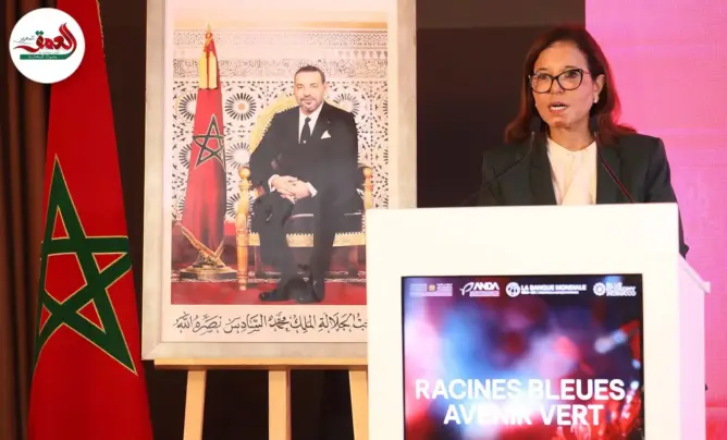 تنمية وتثمين الطحالب البحرية