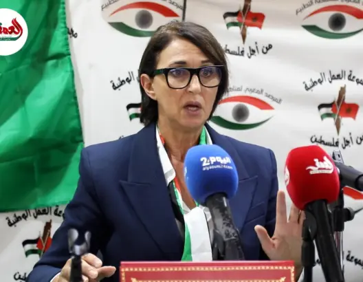  منيب: إسرائيل “منظمة إرهابية أخطبوطية” ومجلس الأمن أداة لشرعنة الغطرسة