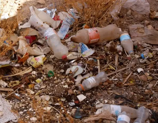 إزناكن.. سوق يتحول إلى مأوى للكلاب