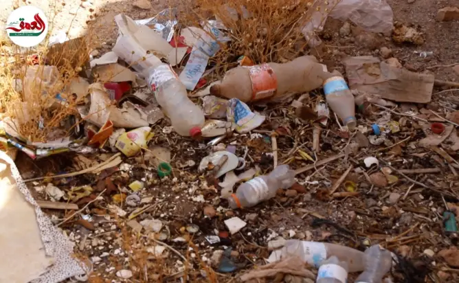 إزناكن.. سوق يتحول إلى مأوى للكلاب