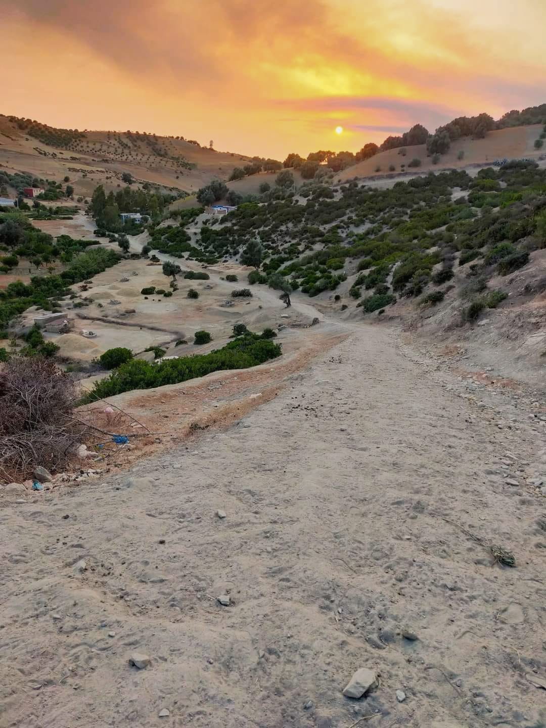 تلاميذ دوار امزيزو بوزان يشتكون طريقا كارثية ومدرسة متهالكة