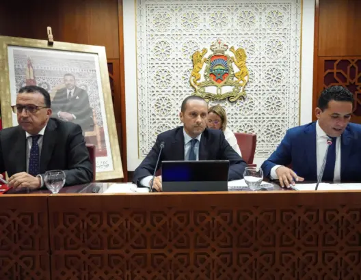 التهراوي: شركات غير مؤهلة تهيمن على صفقات المستشفيات وتوظف بـ600 درهم