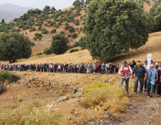 ائتلاف الجبل