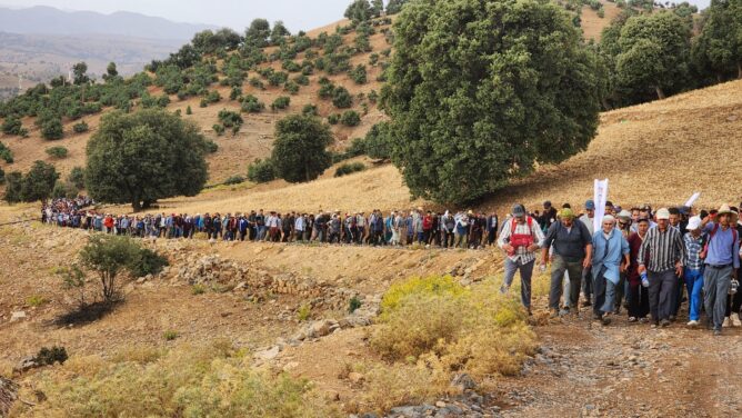ائتلاف الجبل