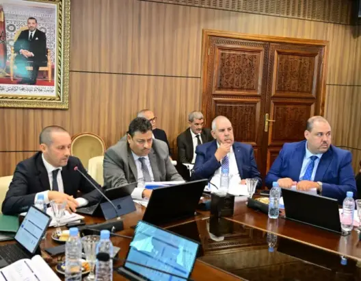 التهراوي: 25% من ميزانية وزارة الصحة تهدر بسبب سوء تدبير مخزون الأدوية