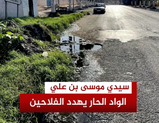 كارثة بيئية بسيدي موسى بن علي  مياه الواد الحار تلوث مياه السقي وسكان المنطقة يستغيثون