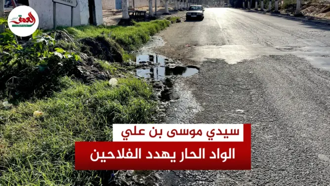 كارثة بيئية بسيدي موسى بن علي  مياه الواد الحار تلوث مياه السقي وسكان المنطقة يستغيثون