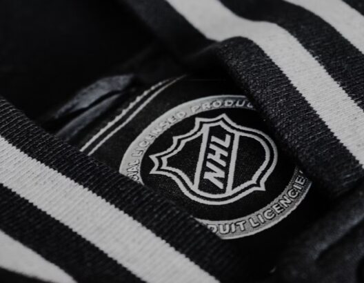 دليل NHL الشامل للمشجعين في 2025
