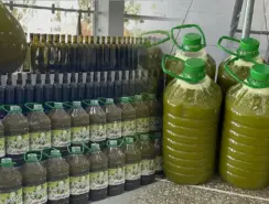 زيت الزيتون