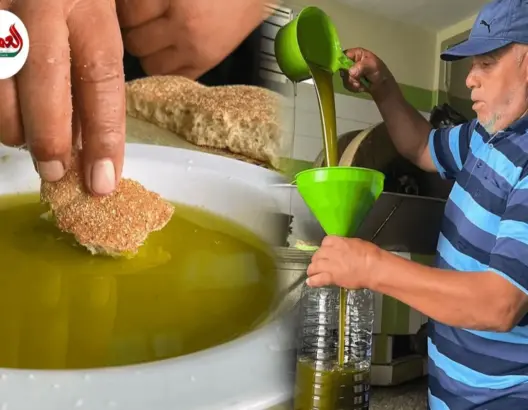 هل سينخفض ثمن زيت الزيتون إلى 50 درهما؟
