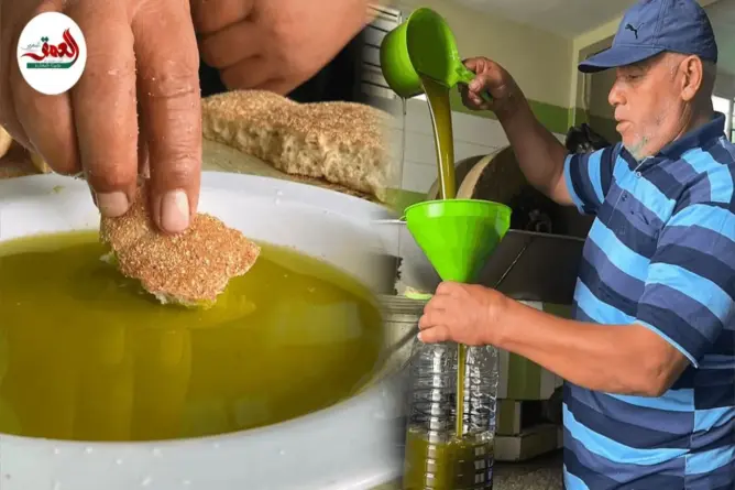 هل سينخفض ثمن زيت الزيتون إلى 50 درهما؟