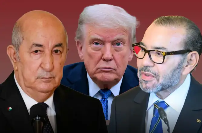 برعاية ترامب.. ويتكوف يكشف عن مفاوضات سلام “تاريخية” بين المغرب والجزائر خلال 60 يوما