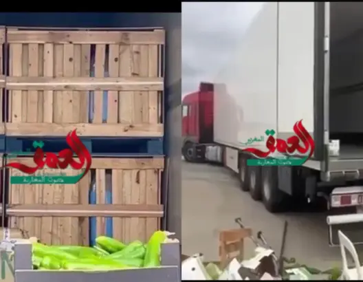 إحباط تهريب أطنان من مخدر الشيرا بميناء الجزيرة الخضراء عبر شاحنة للنقل الدولي (صور)