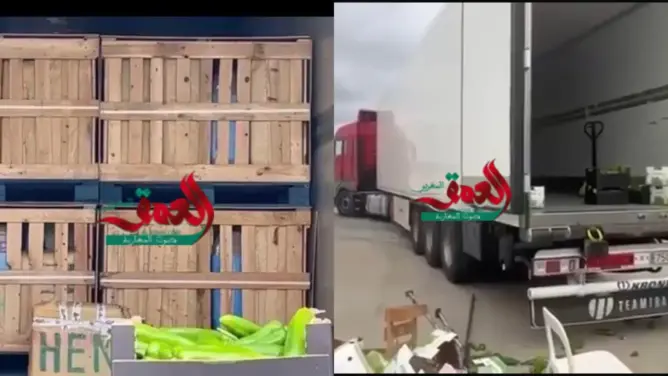 إحباط تهريب أطنان من مخدر الشيرا بميناء الجزيرة الخضراء عبر شاحنة للنقل الدولي (صور)