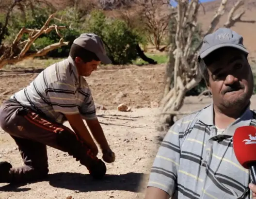 قصة كفاح في الفلاحة لشخص من ذوي الإعاقة