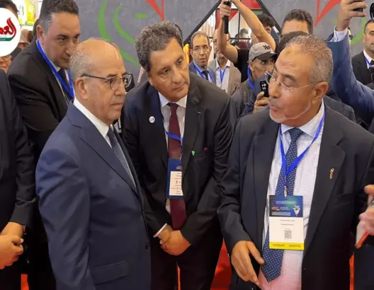 المغرب يحقق اكتفاء ذاتي في الدواجن ورقم معاملات يفوق 45 مليار درهم