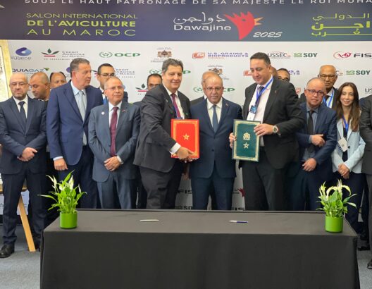 معرض “دواجن 2025” بالجديدة.. وزير الفلاحة: نحقق الاكتفاء الذاتي من الدواجن (فيديو)