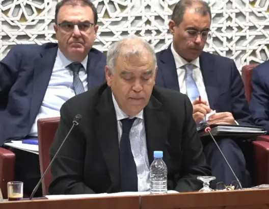 لفتيت يكشف تفكيك 3 خلايا إرهابية في 2025 ووضع خطة متكاملة لتأمين “الكان والمونديال”