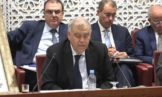 وزير الداخلية: مشاريع انتخابات 2026 تسهل مشاركة الجالية والأحزاب مطالبة بتزكيتهم