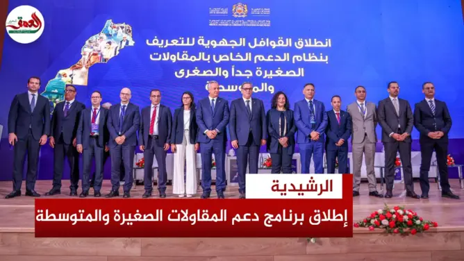 تفاصيل نظام دعم المقاولات الصغيرة والمتوسطة
