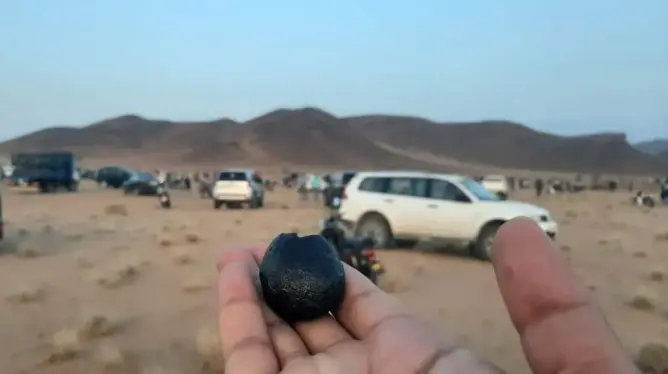 البحث عن النيازك
