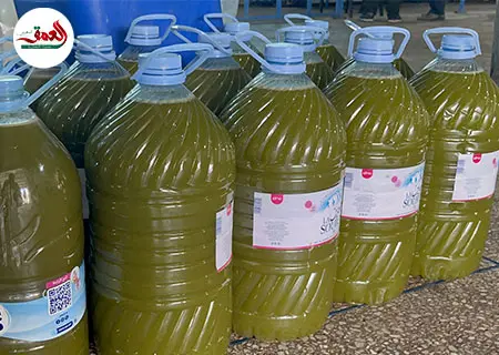 طريقة الاستفادة من “زيت بلدية” ذات جودة