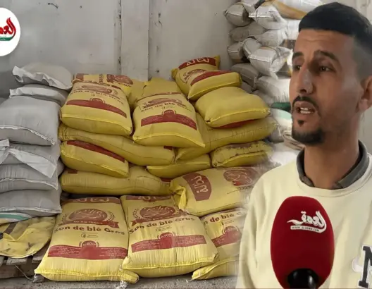 الكسّابة يقاطعون شركات الأعلاف بعد ابتلاع الدعم ورفع الأسعار بـ30%