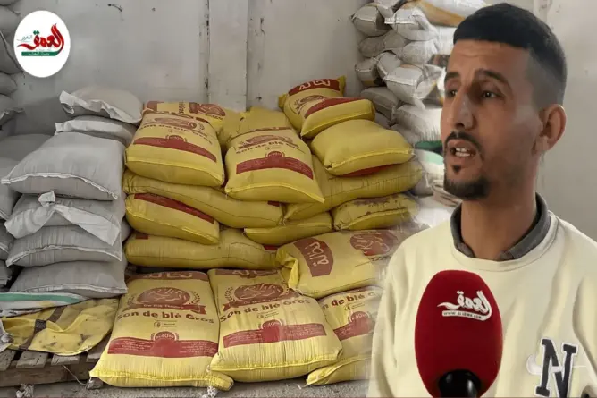 الكسّابة يقاطعون شركات الأعلاف بعد ابتلاع الدعم ورفع الأسعار بـ30%