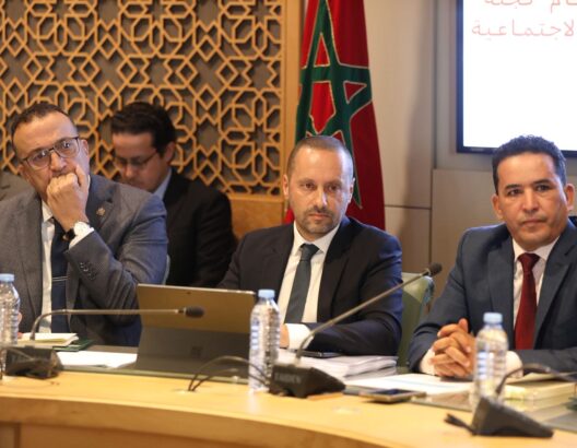 وزير الصحة والحماية الاجتماعية أمين التهراوي