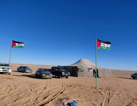 مسؤول أمني سابق بالبوليساريو: الجبهة تحولت لـ”حصان ميت” ومحاولة إنعاشها مضيعة للوقت