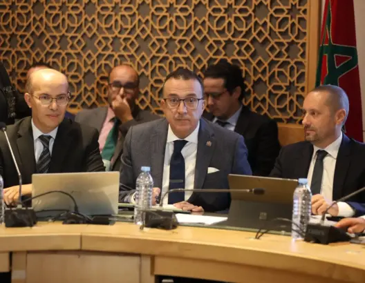 مدير وكالة الأدوية أمام البرلمان: قراراتنا “علمية محضة” وهدفنا ولوج المغاربة لدواء آمن وفعال
