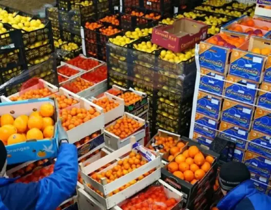 واردات المغرب من المنتجات الفلاحية التونسية تلامس 115 مليون دولار خلال تسعة أشهر