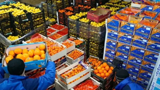 واردات المغرب من المنتجات الفلاحية التونسية تلامس 115 مليون دولار خلال تسعة أشهر